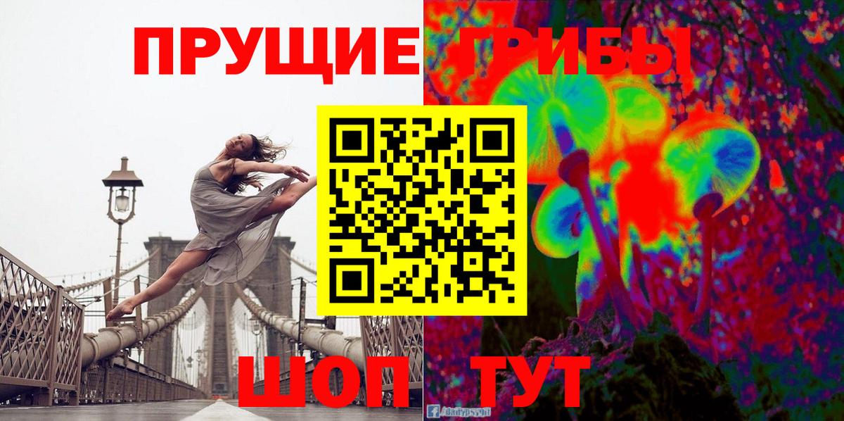 Галлюциногенные грибы Psilocybe  цена наркотик  Вход с VPN  Новороссийск  Галлюциногенные грибы мицелий 